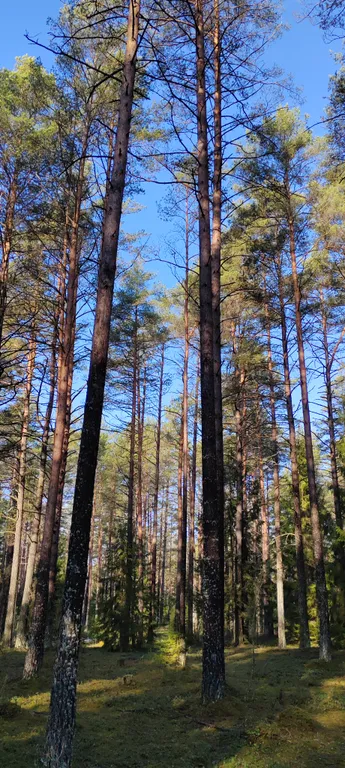 Домик у речки - мечта интроверта