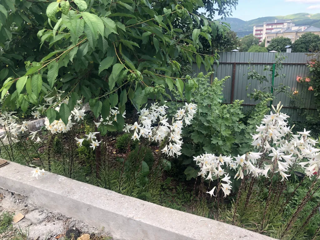 Коттедж 2-комнатный Дом — Кисловодск