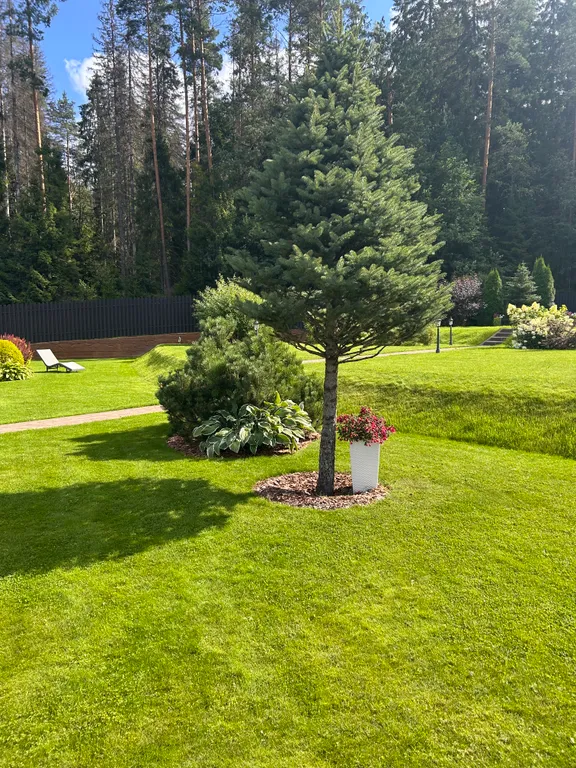 Коттедж Дом с парной на дровах и Финской купелью — Ломоносов