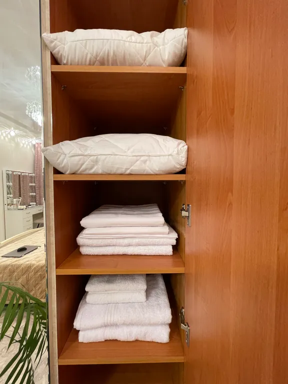 Квартира Квартира Шикарная классика у зоопарка — Новосибирск