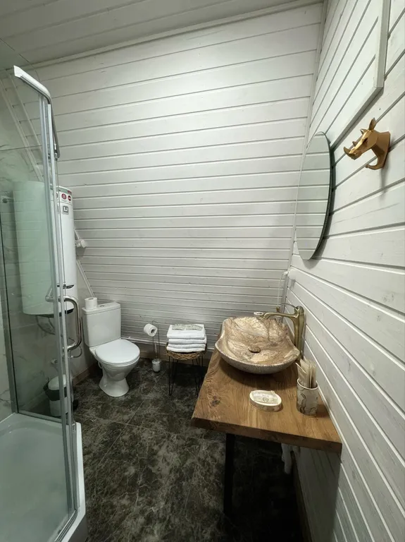 Афрейм Пушкин Дом 7