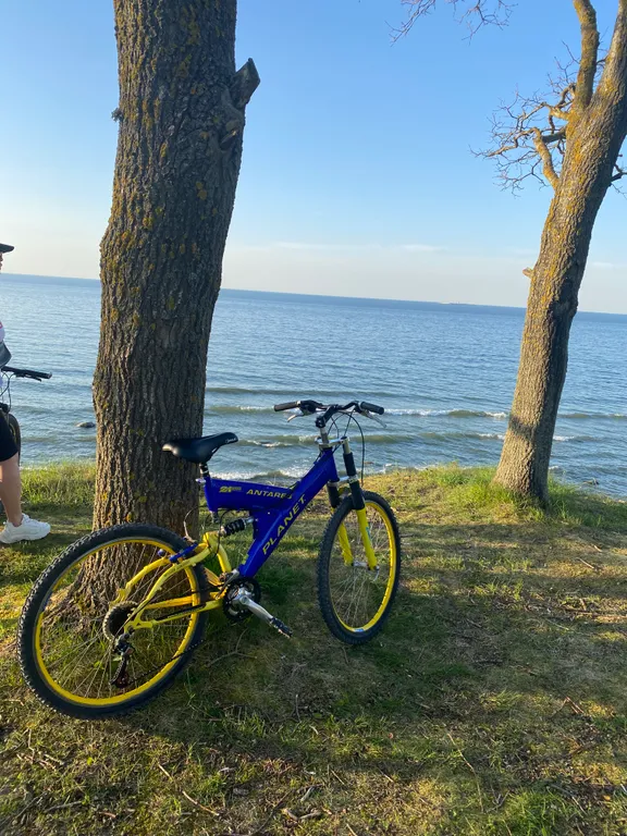 Коттедж Уютный и комфортный дом на побережье Балтийского моря — Пионерский