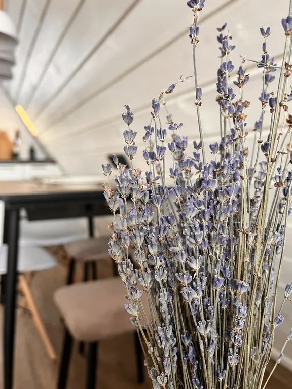 Уединённый домик