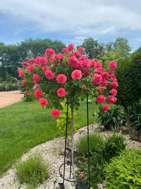 Квартира с великолепным видом в ЖК Грин Парк