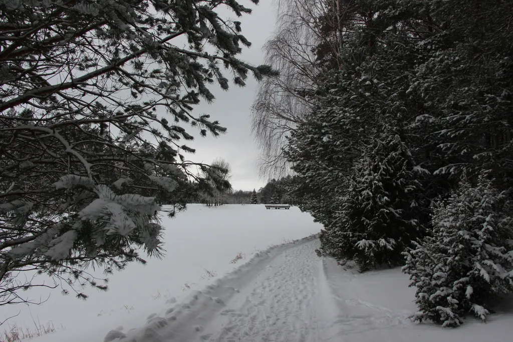 Апартамент на территории санатория Альфа-Радон