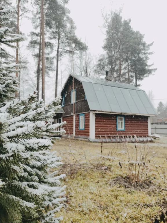 Коттедж Настоящий деревенский дом — Рябово