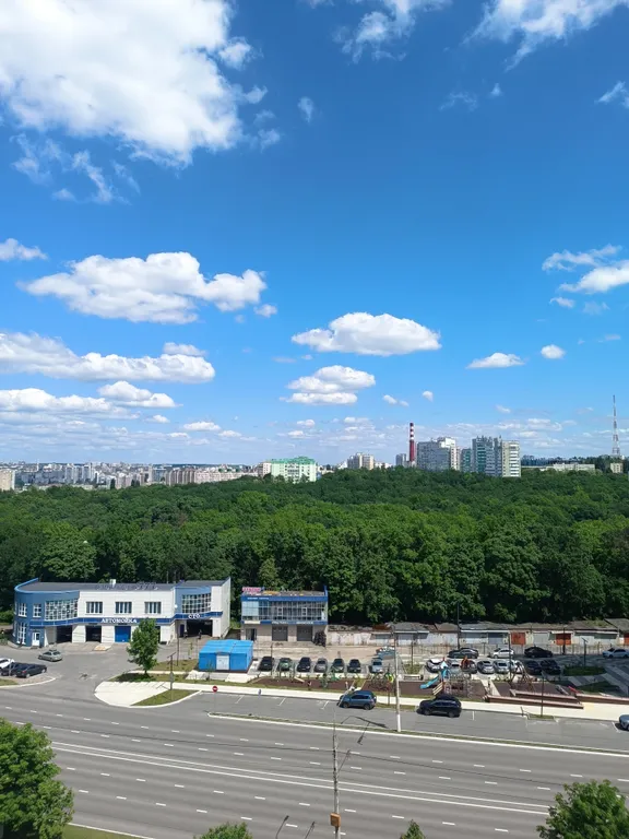 Квартира с видом на лес и город