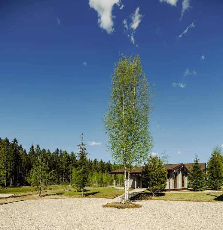 Вилла М с видом на вековой лес