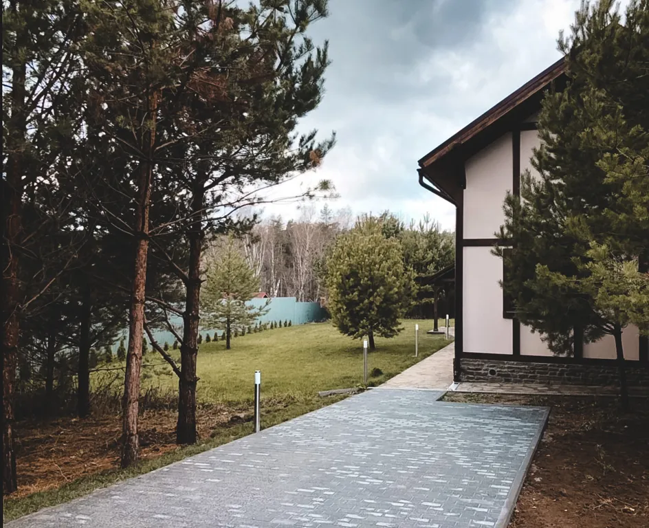 Дом в окружении соснового леса