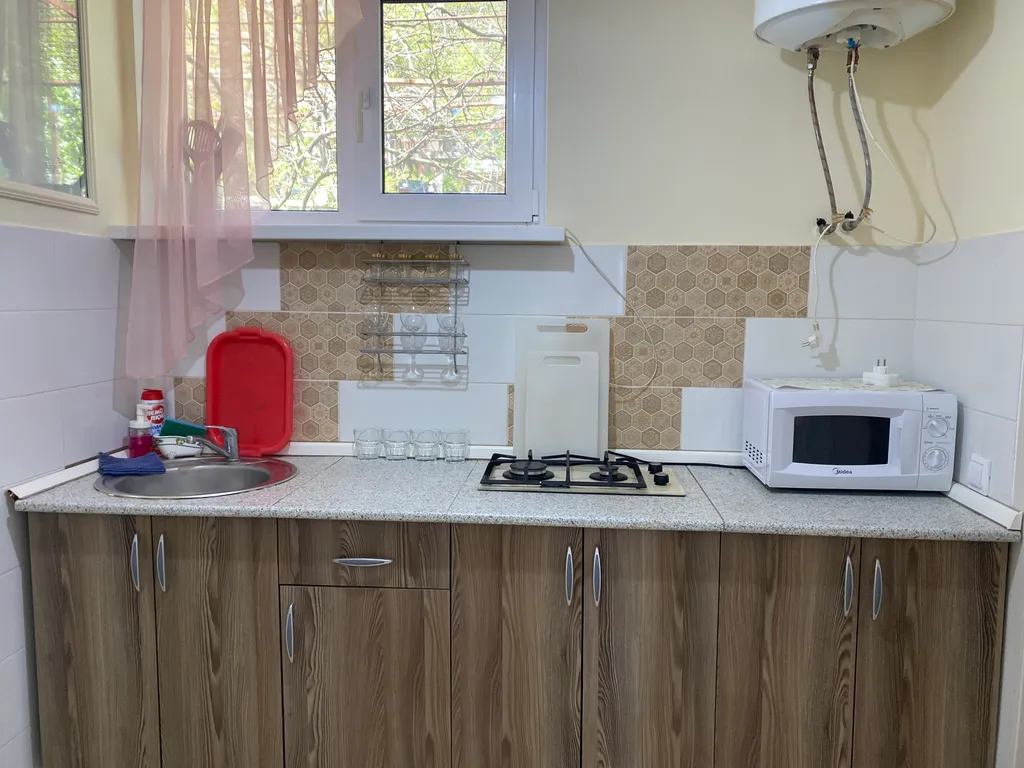 Квартира- антидепрессант рядом с дельфинарием