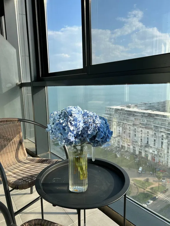 Premium apartment at Courtyard by Marriot