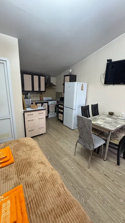 Квартира 1-комнатная Квартира — Сириус