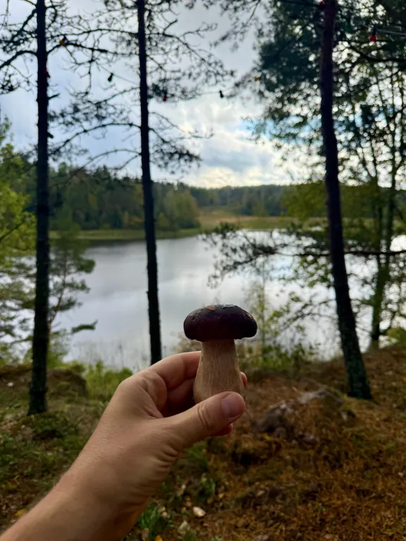 Дом-студия с панорамной стеной на залив Мусталанлахти