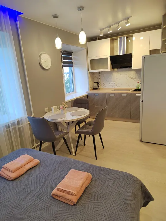 Уютная квартира-студия в самом центре города