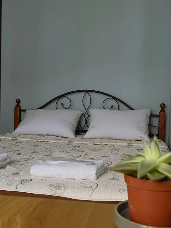 Квартира Просторная квартира в центре — Батуми