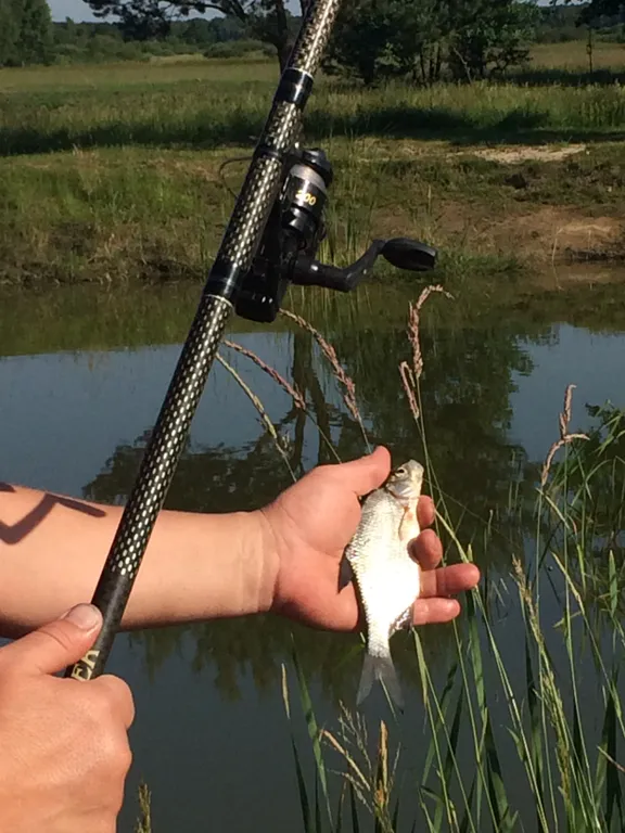 5-комнатный Дом