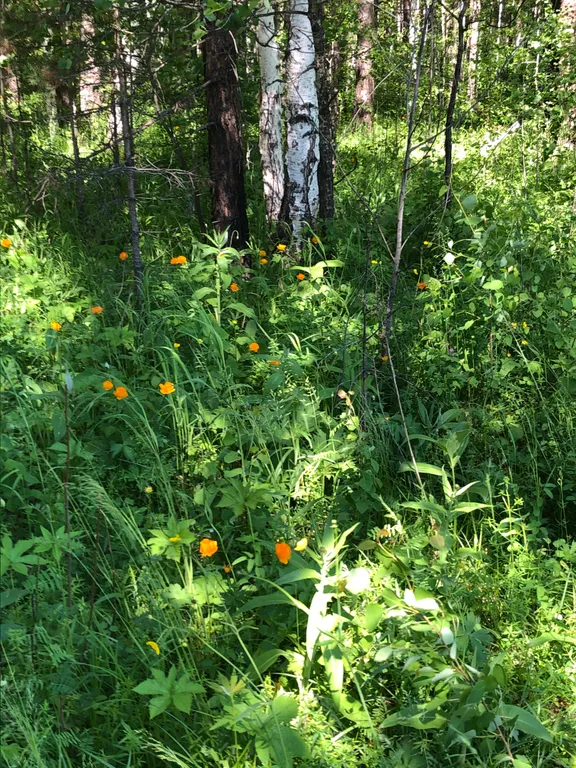 «Златогорье-флэт» - квартира с завораживающим видом на о. Байкал