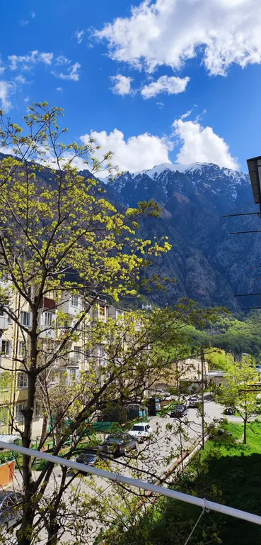 Уютная квартира