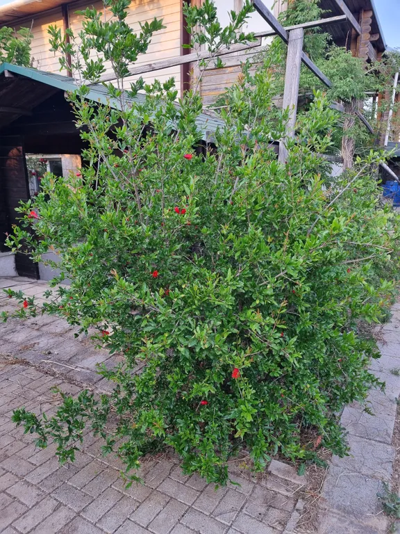 Коттедж Экологичный отдых рядом с морем — Витино