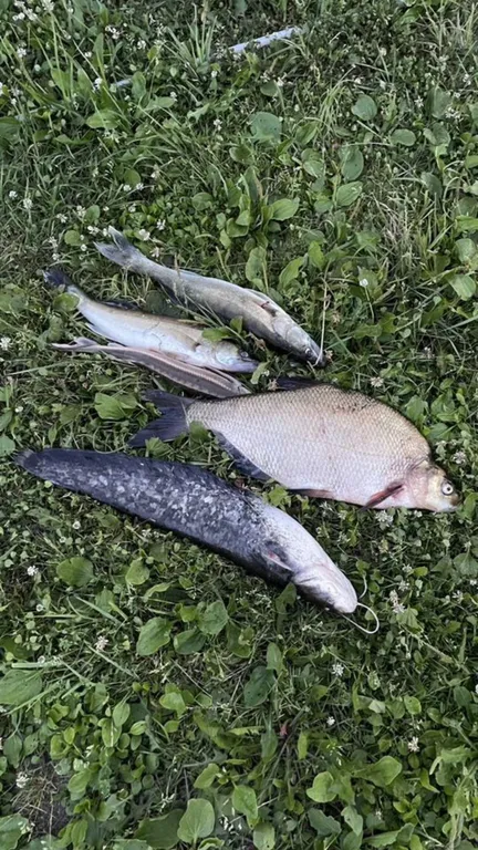 Домик на берегу Оки в сельской усадьбе Варежка