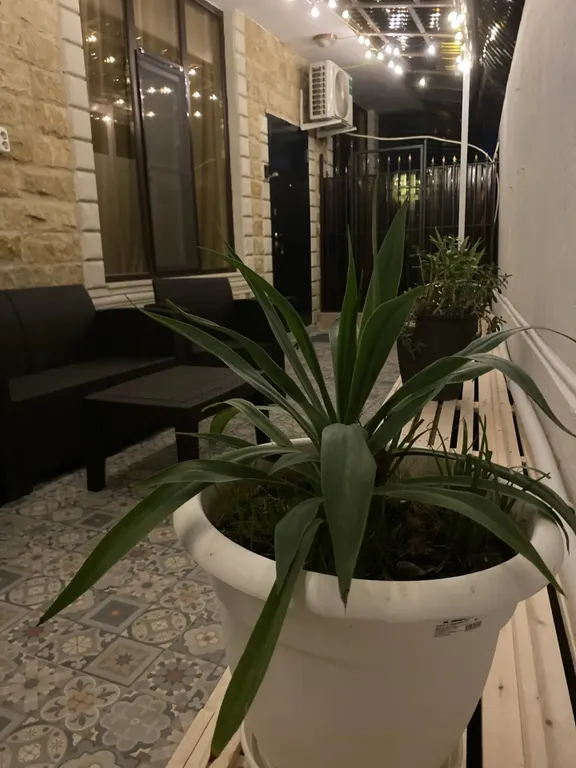 Уютная квартира в пгт Сириус