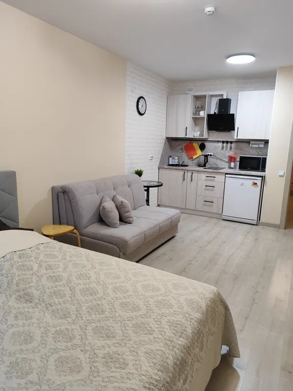 Уютная квартира-студия