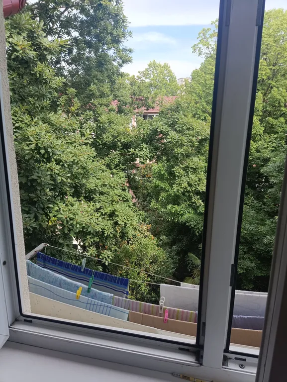 В самом сердце Сочи