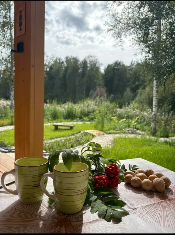 Дворик леса