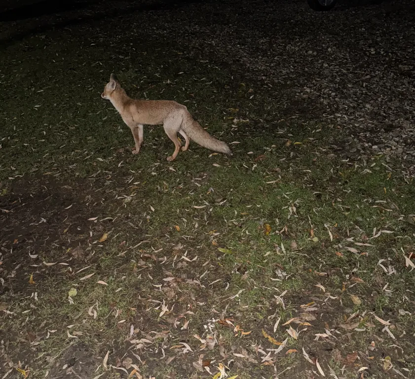 Уютная жилая комната на двоих в деревянном таунхаусе