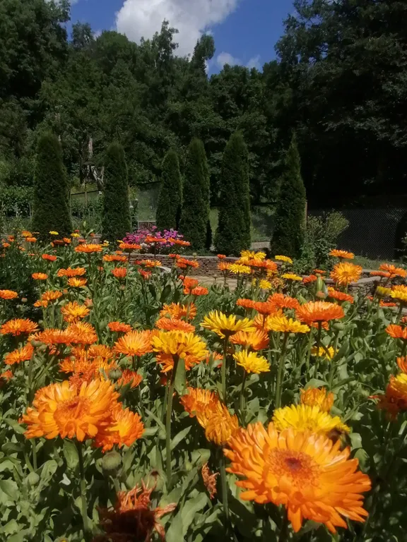 Домик в горах