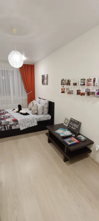 Zebra от Resident Ufa