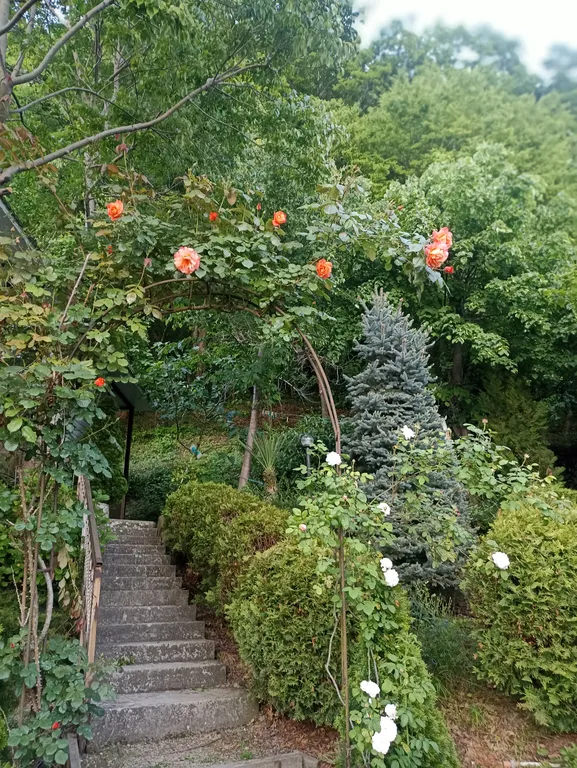 Однокомнатный коттедж с видом на лес и горы