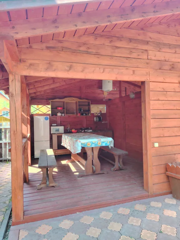 Летний номер с видом на березовый лес