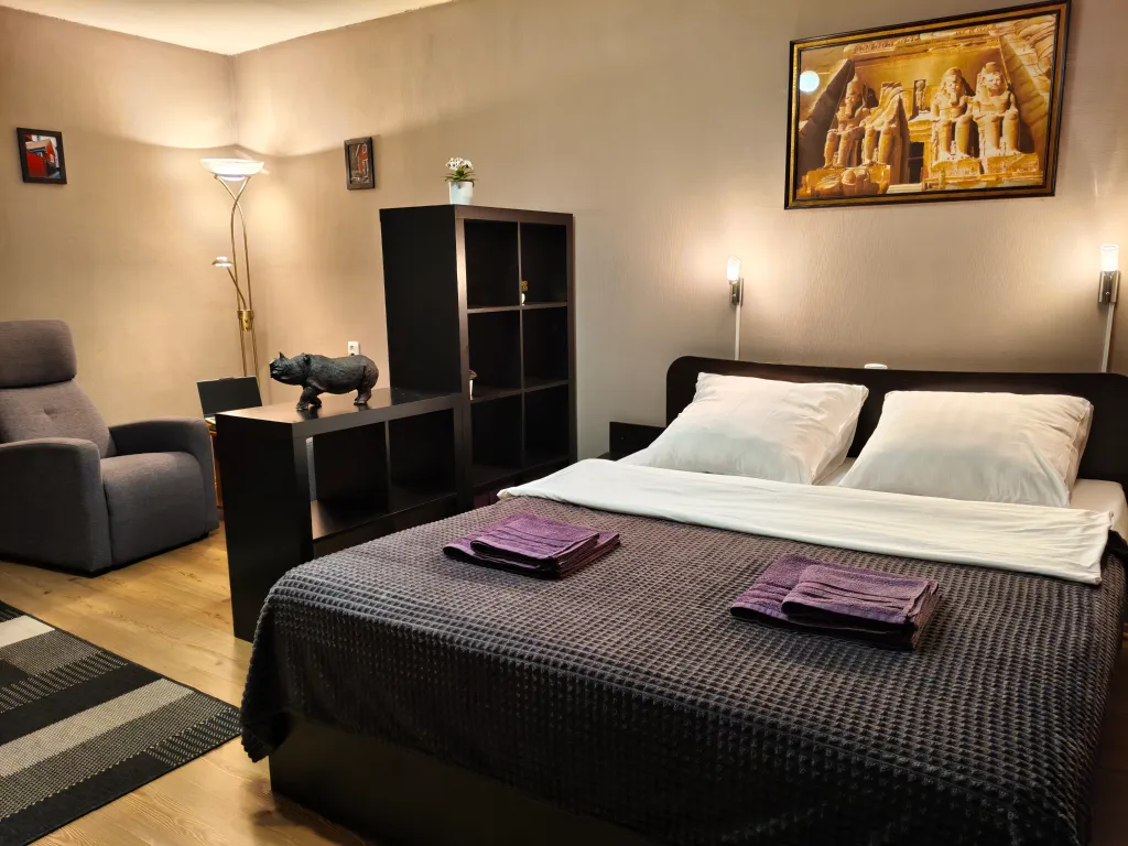 Просторная квартира с балконом в центре