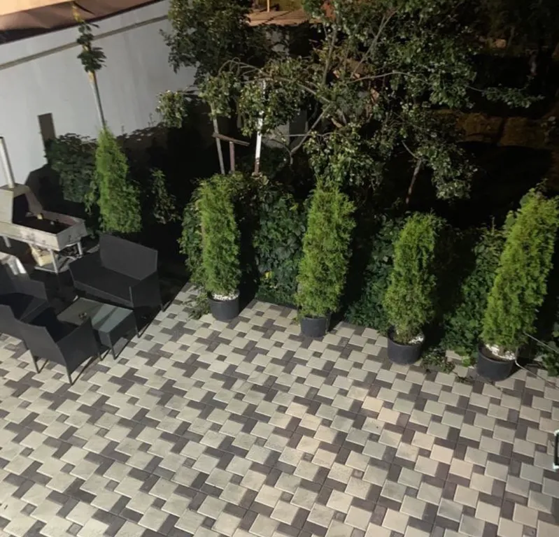 Дом у сосновой рощи