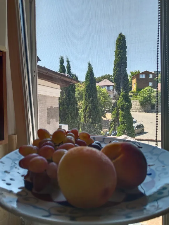 Квартира с террасой