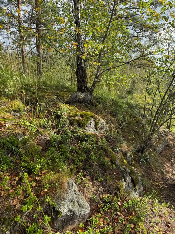 Дом на берегу залива Мусталанлахти