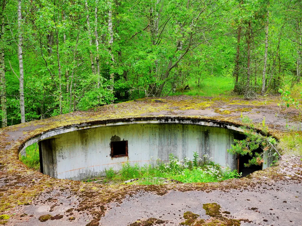 Коттедж Домик Коиви в Приморске — Приморск