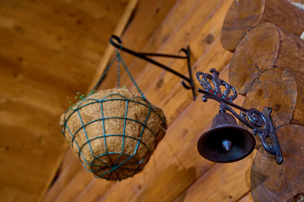 Гуси Лебеди