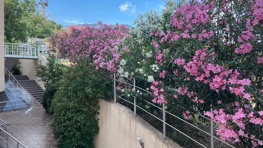 Квартира у пляжа "Изумрудный"