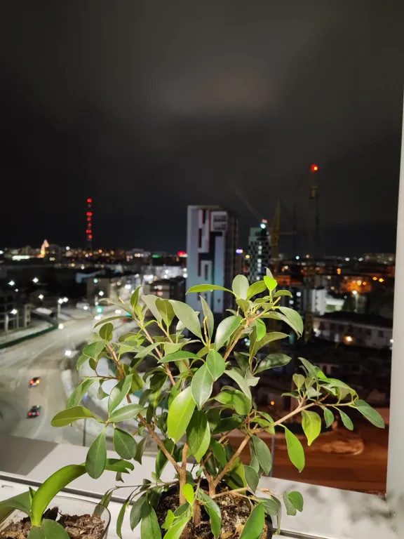 Центр новый дом, 11 этаж, вид на город