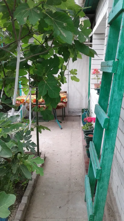 Уютная однокомнатная квартира с зеленым двором