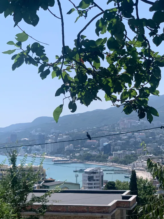 Уютная студия в центре