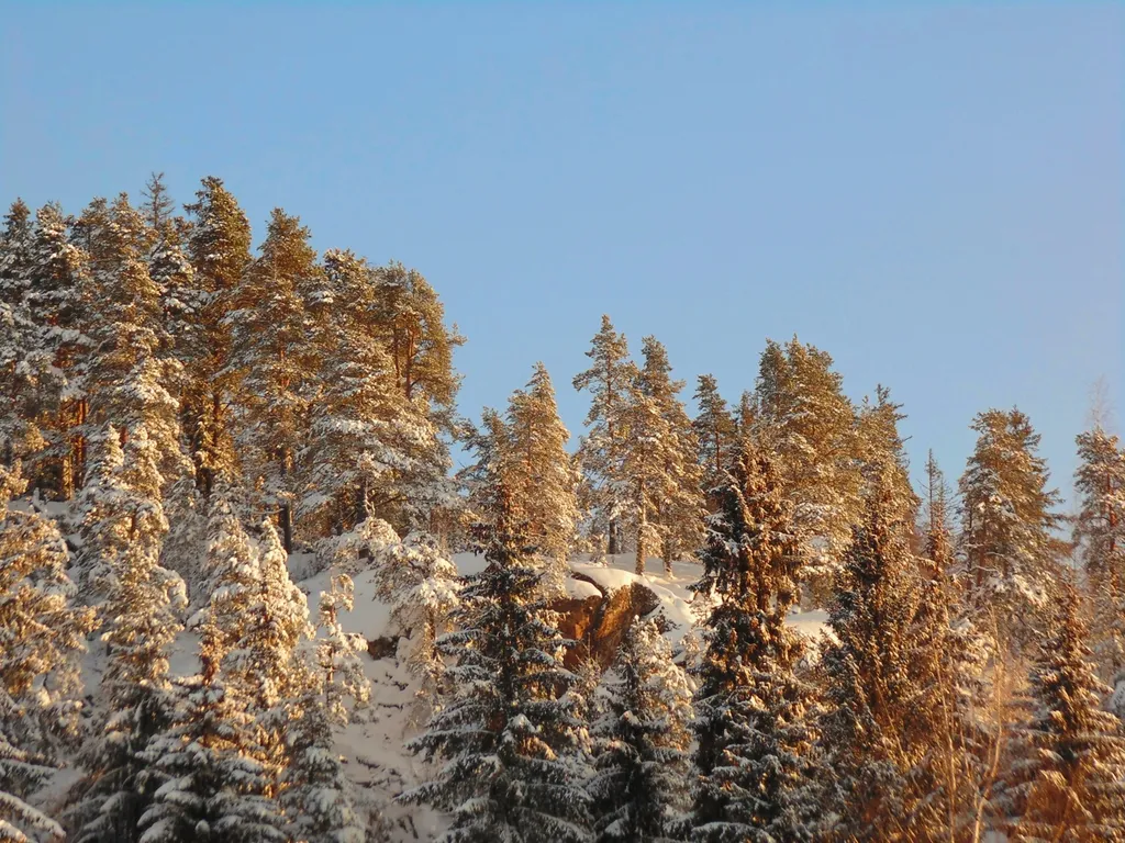 Современный дом на берегу Ладоги