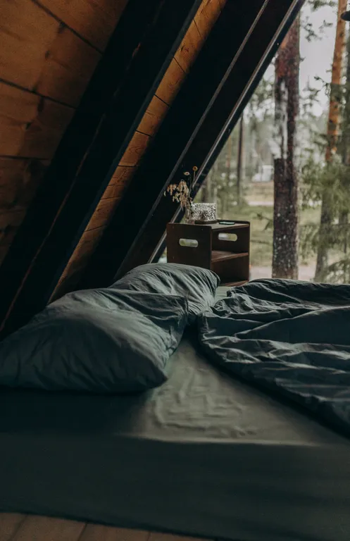 A-frame у Финского Залива посреди Корабельных сосен