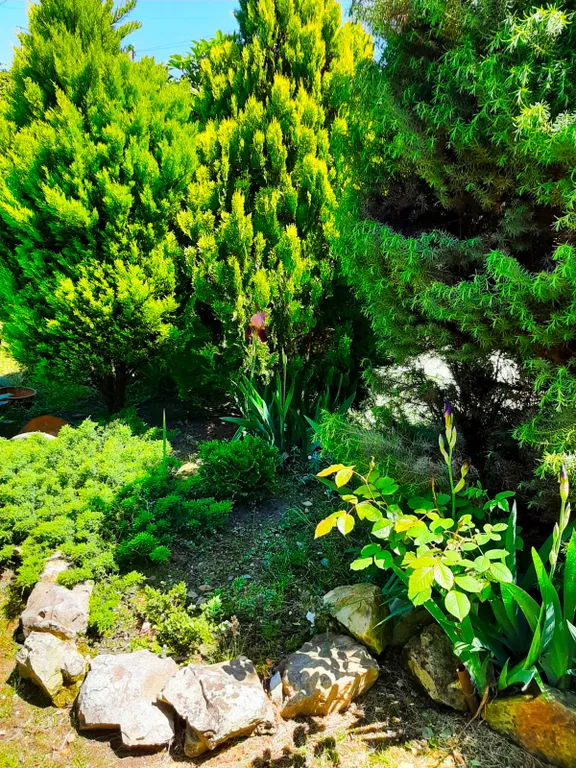 Гостевой дом Anna