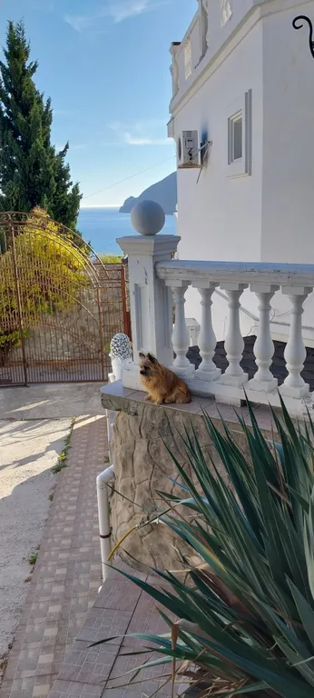 Вилла Аю-Даг