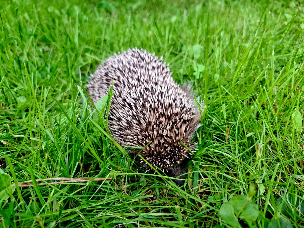 Коттедж у реки в центре Звенигорода