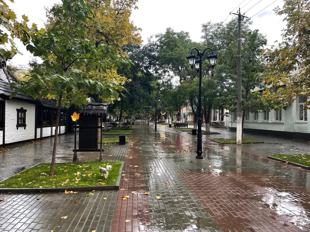 Квартира в парковой зоне сан Бурденко сан Пирогова