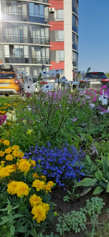 Апартамент с шикарным видом на Волхов